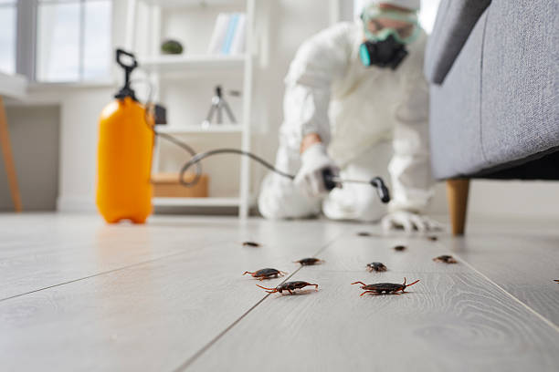 Commercial Kitchen Cockroach Control in Enochville